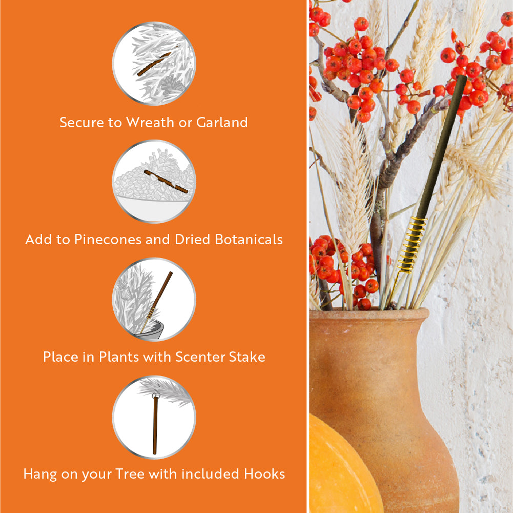 Scentsicles, 6pc Stick, Autumn 'n  Apples & Pumpkin 'n Cider- 2 Pack - National Tree Company
