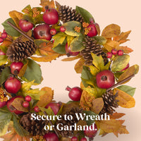 Scentsicles, 6pc Stick, Autumn 'n  Apples & Pumpkin 'n Cider- 2 Pack - National Tree Company