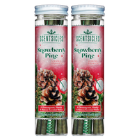 Scentsicles, 6pc Stick, Snowberry Pine - 2 Pack - National Tree Company