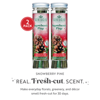 Scentsicles, 6pc Stick, Snowberry Pine - 2 Pack - National Tree Company