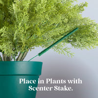 Scentsicles, 6pc Stick, Snowberry Pine - 2 Pack - National Tree Company