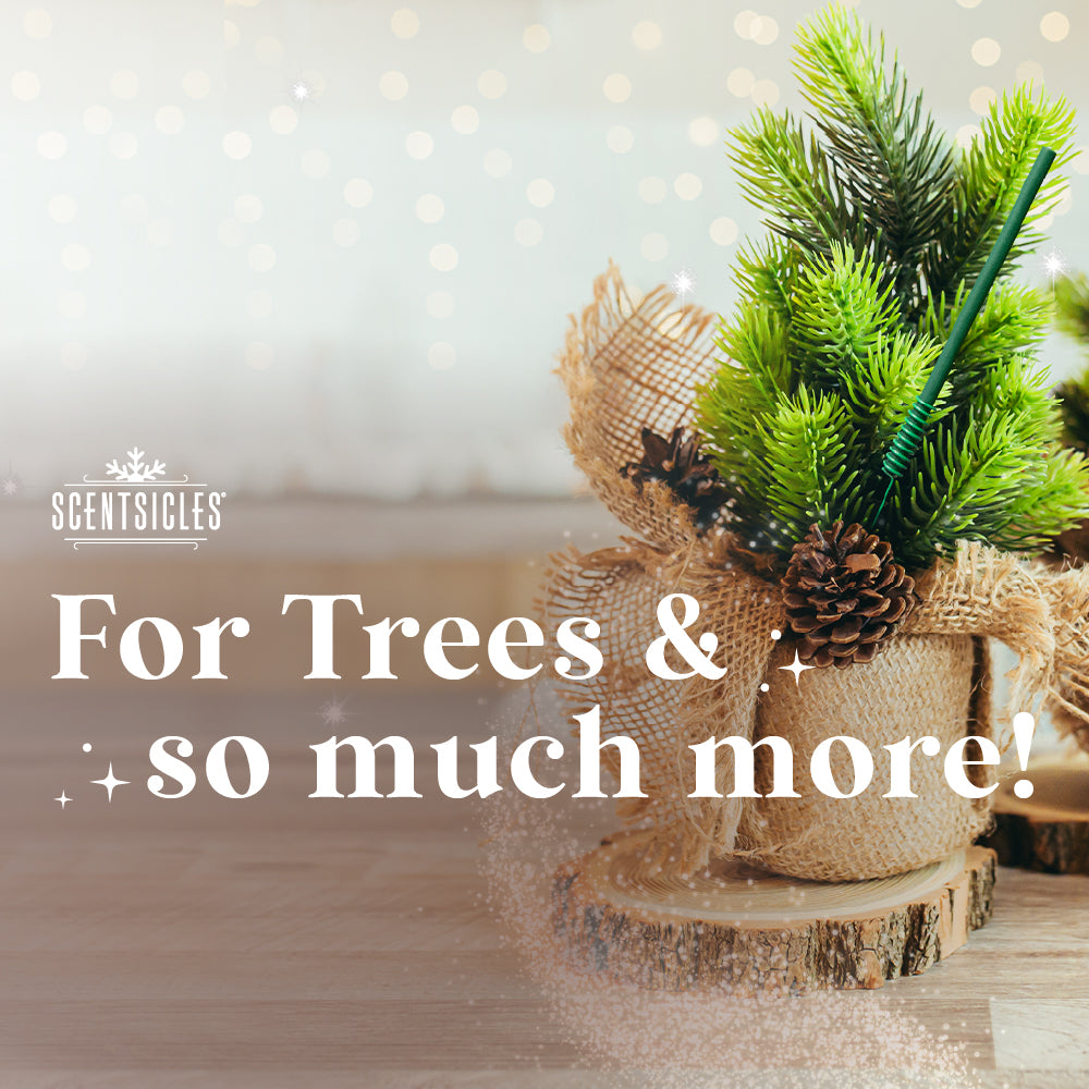 Scentsicles, 6pc Stick, Snowberry Pine - 2 Pack - National Tree Company