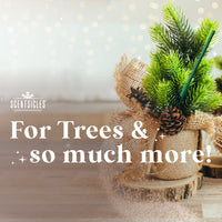 Scentsicles, 6pc Stick, Snowberry Pine - 2 Pack - National Tree Company