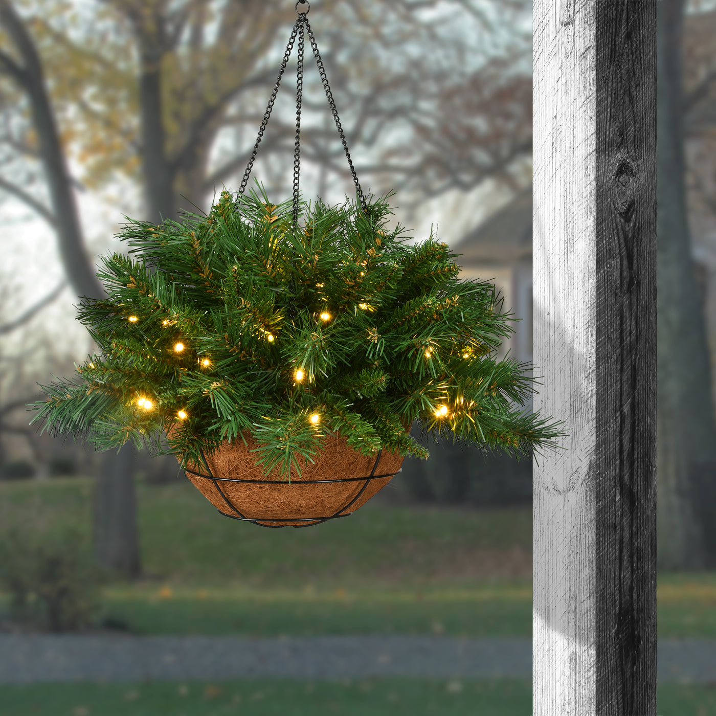 hanging plant christmas 20 in. Pre-Lit Tiffany Fir Hanging Basket with Warm White LED Lights · National Tree Company