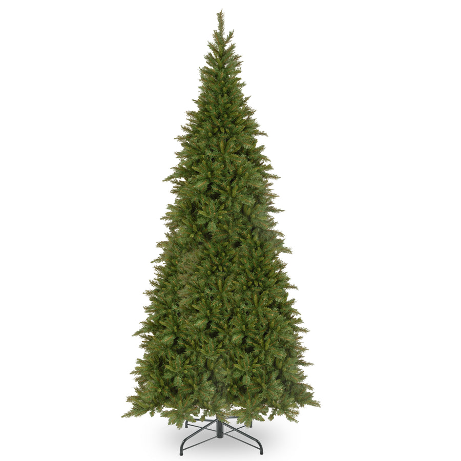 10 ft. Tiffany Fir Slim Tree - National Tree Company