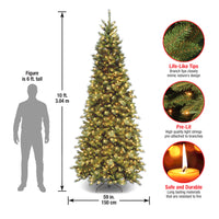 10 ft. Pre-Lit Tiffany Fir Slim Tree with Clear Lights, Plug-In - National Tree Company