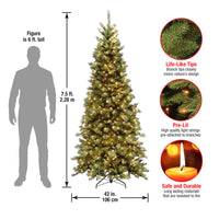 7.5 ft. Tiffany Fir Slim Tree with Clear Lights - National Tree Company