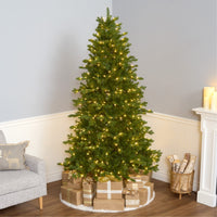 7.5 ft. Pre-Lit Northern Spruce Memory-Shape Tree with PowerConnect Dual Color LED Lights and Music Match - National Tree Company