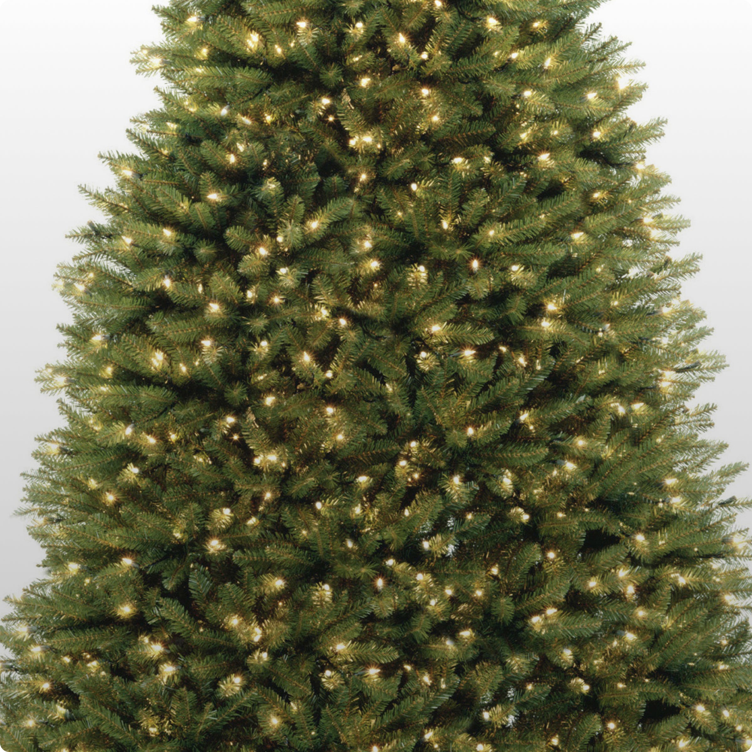 6 ft. Color Pop Gold Tree · National Tree Company