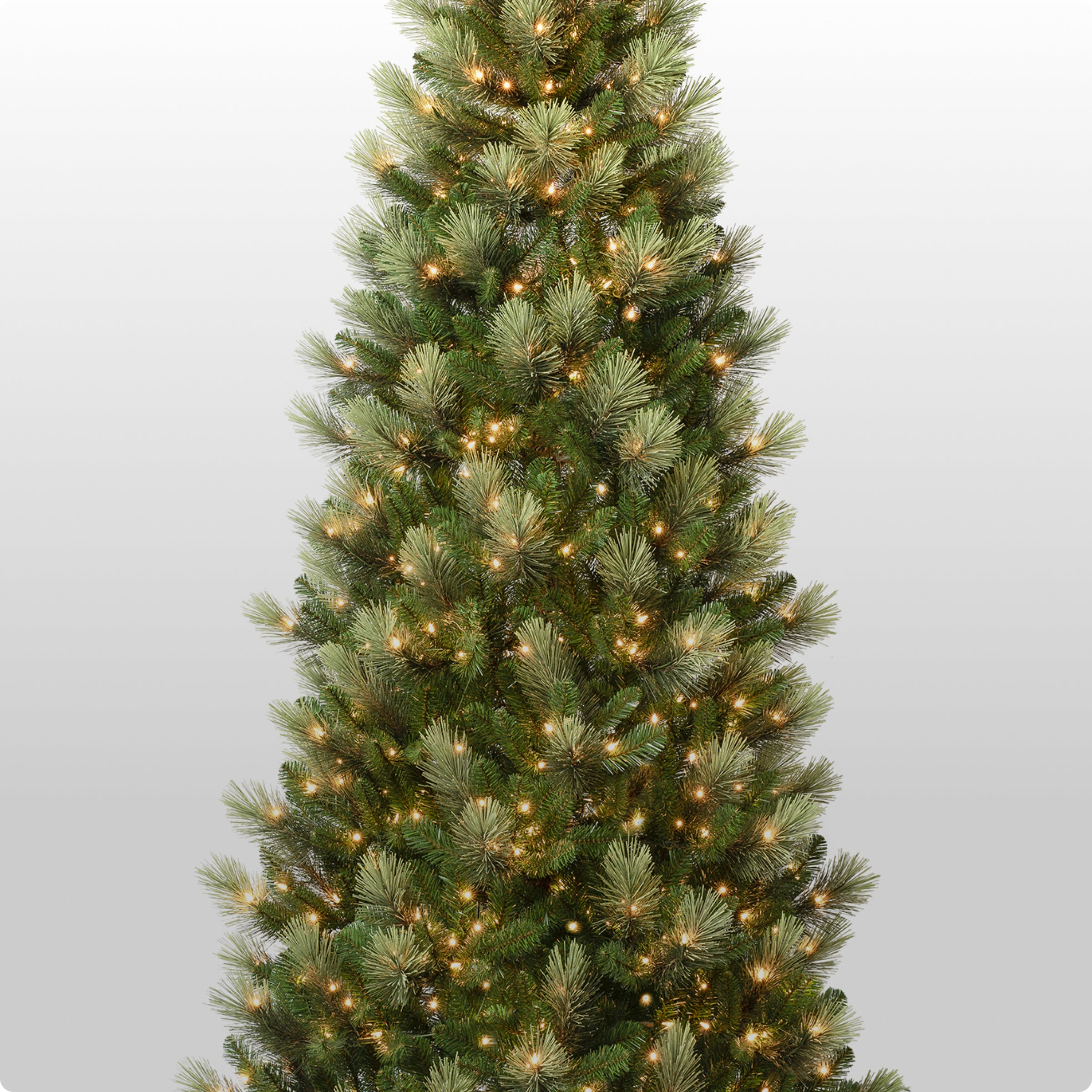 National Tree Company 6.5' Slim Pre-lit high quality artificial Christmas