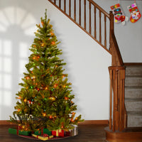 6 ft. Pre-Lit Canadian Grande Fir Tree with Clear Lights - National Tree Company