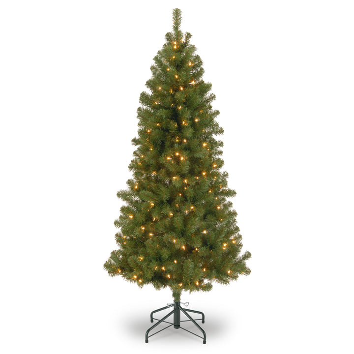 7 ft. Canadian Grande Fir Tree with Clear Lights
