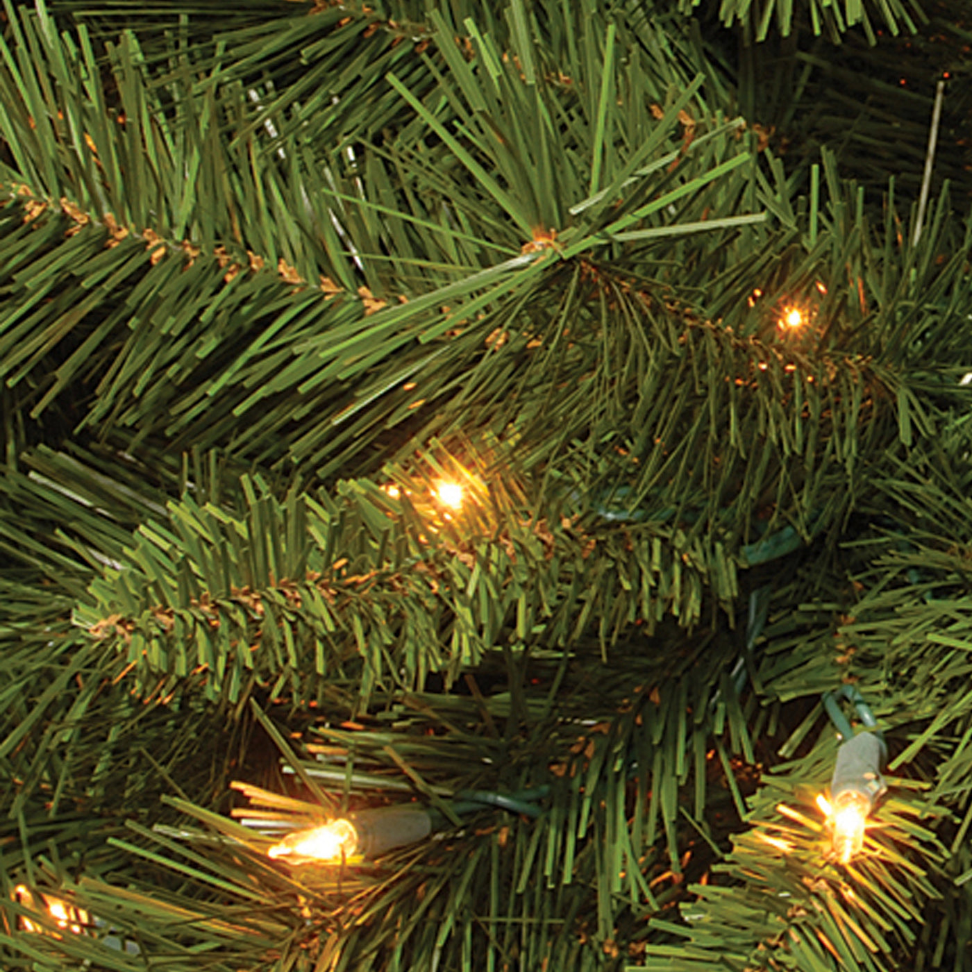 6 ft. Pre-Lit Winchester Pine Tree with Clear Lights - National Tree Company