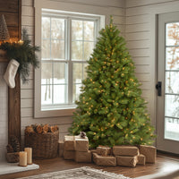 6.5 ft. Pre-Lit Winchester Pine Tree with Clear Lights - National Tree Company