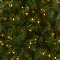 6.5 ft. Pre-Lit Winchester Pine Tree with Clear Lights - National Tree Company