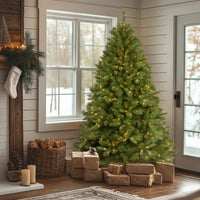 7.5 ft. Pre-Lit Winchester Pine Tree with Clear Lights - National Tree Company