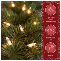9 ft. Pre-Lit Winchester Pine Garland with Clear Lights, Plug-In - National Tree Company