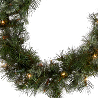 9 ft. Pre-Lit Wispy Willow Garland with Clear Lights - National Tree Company