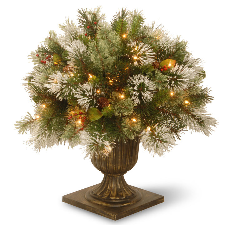 24" Wintry Pine(R) Porch Bush with Clear Lights