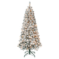 6 ft. Pre-Lit Acacia Slim Tree with Clear Lights - National Tree Company