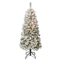 4.5 ft. Pre-Lit Acacia Medium Flocked Tree with Clear Lights - National Tree Company