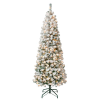 6 ft. Pre-Lit Acacia Medium Flocked Tree with Clear Lights - National Tree Company