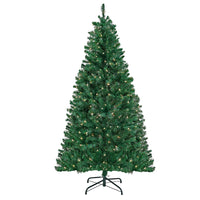 6 ft. Pre-Lit Acacia Tree with Clear Lights - National Tree Company