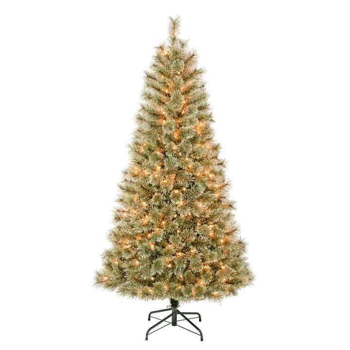 First Traditions Pre-Lit Arcadia Pine Cashmere Christmas Tree, Clear Incandescent Lights, Plug In, 6 ft