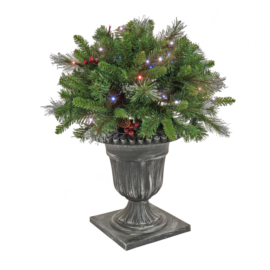 24" Crestwood® Spruce Porch Bush with Twinkly™ LED Lights