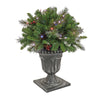 24 in. Crestwood Spruce Porch Bush with Twinkly LED Lights - National Tree Company