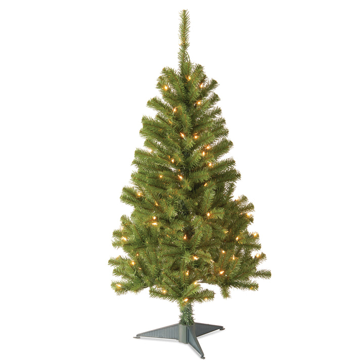 Pre-Lit Artificial Full Christmas Tree, Green, Canadian Fir Grande, White Lights, Includes Stand, 4 Feet