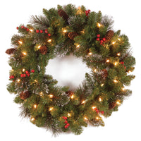 24 in. Pre-Lit Crestwood Spruce Spruce Wreath with Clear Lights - National Tree Company