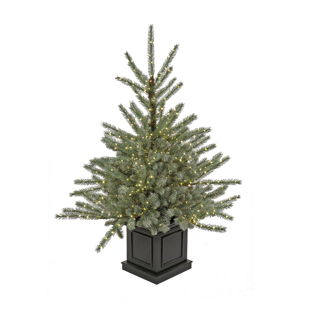 Pre-Lit Artificial Christmas Entrance Tree, Blue Evergreen , Dual Rice LED Lights, Plug in, 48 in