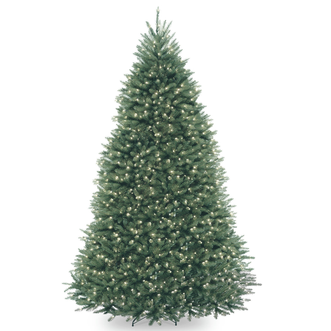 9 ft. Dunhill® Blue Fir Tree with Clear Lights