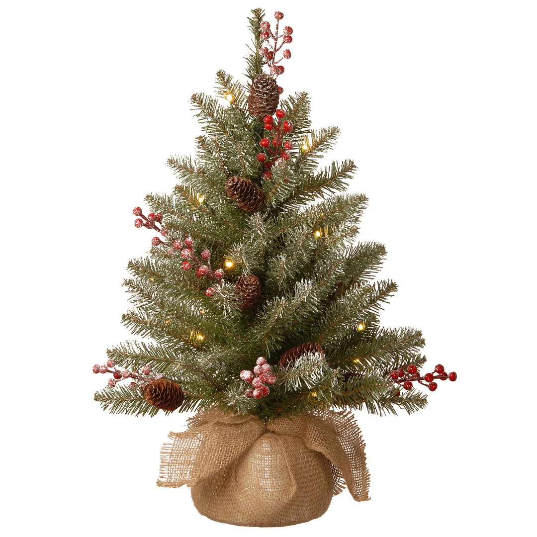 Pre-Lit Artificial Mini Christmas Tree, Green, Dunhill Fir, White Lights, Decorated with Pine Cones, Berry Clusters, Frosted Branches, Includes Cloth Bag Base, 2 Feet