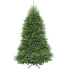 7 ft. Dunhill Fir Tree - National Tree Company