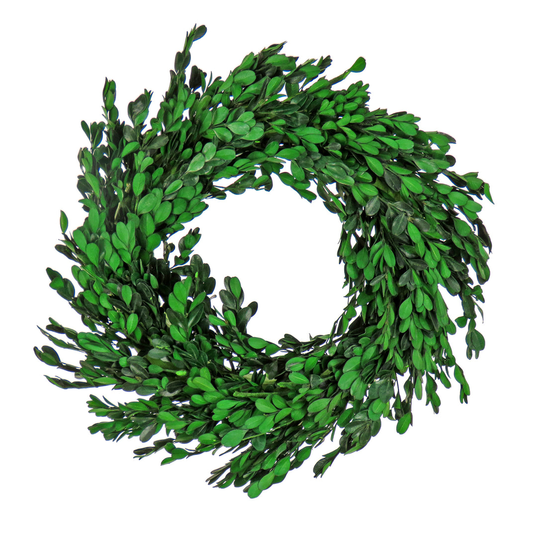 Artificial Wreath Decoration, Green, Lightweight Foam Base, Decorated with Boxwood Flowers, Flowing Green Stems, Spring Collection, 18 Inches