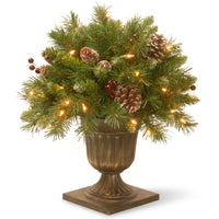 18 in. Pre-Lit Frosted Berry Porch Bush with Clear Lights - National Tree Company