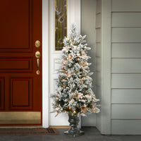 4 ft. Pre-Lit Frosted Colonial Fir Tree with Clear Lights - National Tree Company