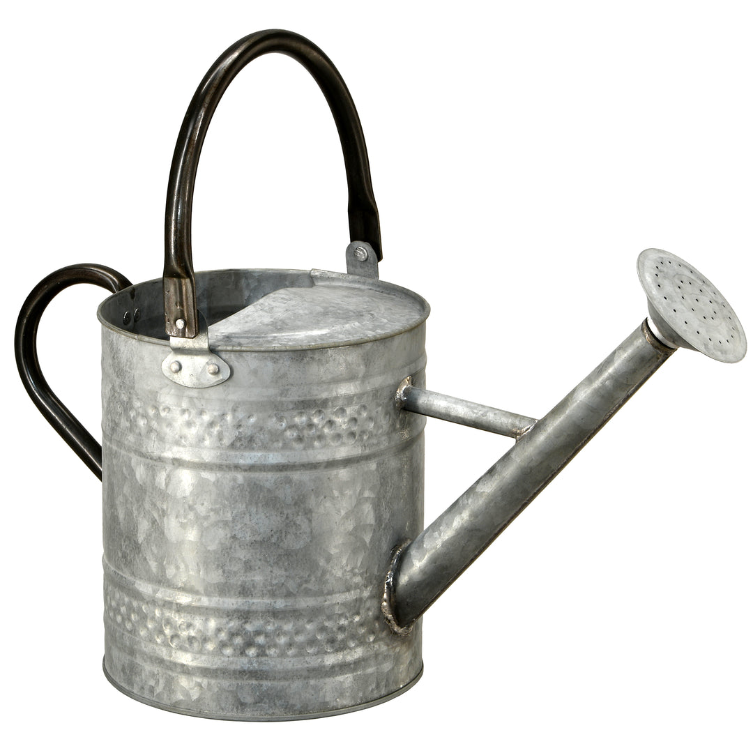 Watering Can, Metal, Steel Color, Spring Collection, 16 Inches