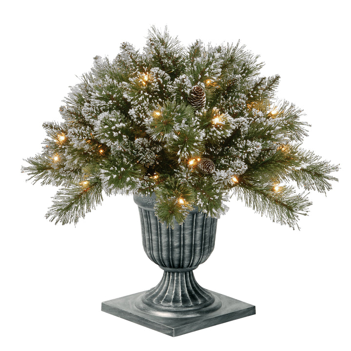 Pre Lit Artificial Shrub, Glittery Bristle Pine, Decorated with Frosted Branches, Pine Cones, Twinkly LED Lights, Includes Stylish Black Base, Plug In, Christmas Collection, 24 Inches