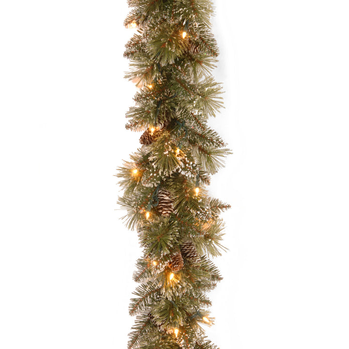 National Tree Company Pre Lit Artificial Garland, Glittery Bristle, Green, Frosted, Decorated with Frosted Pine Cones, Multifunctional Twinkling LED Lights, Plug In, Christmas Collection, 9 Feet