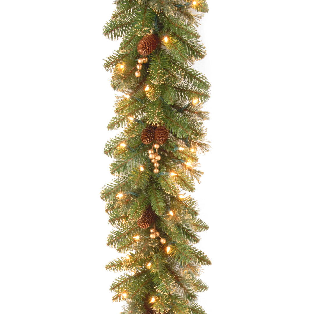 National Tree Company Pre-Lit Artificial Christmas Garland, Green, Glittery Pine, White Lights, Decorated With Pine Cones, Berry Clusters, Plug In, Christmas Collection, 9 Feet