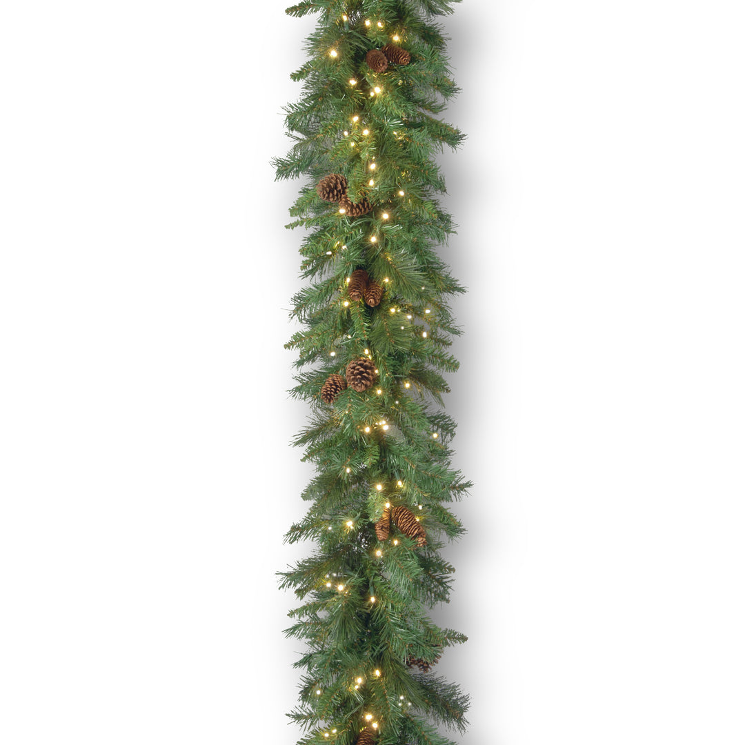 National Tree Company Pre-Lit Artificial Christmas Garland, Green, Garwood Spruce, White Lights, Plug In, Christmas Collection, 9 Feet