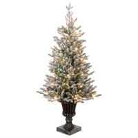 4 ft. Pre-Lit Iceland Fir Tree with Clear Lights - National Tree Company