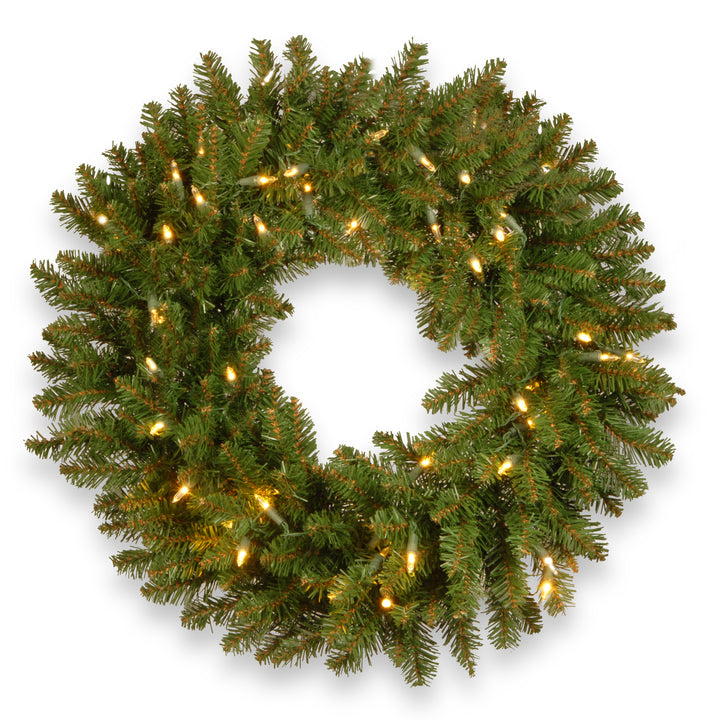National Tree Company Pre-Lit Artificial Christmas Wreath, Green, Kingswood Fir, Dual Color LED Lights, Christmas Collection, 24 Inches