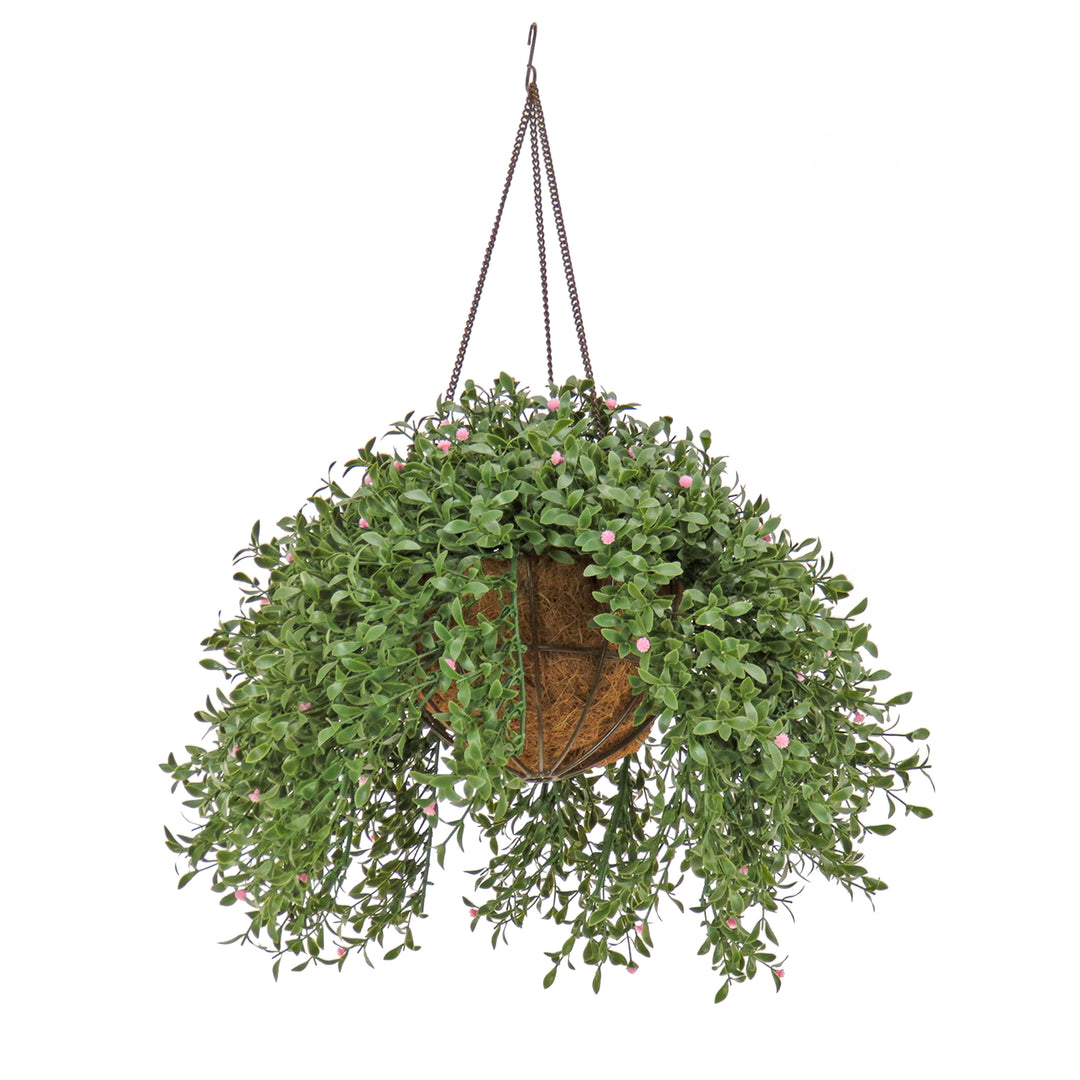 18" Hanging Argentea Plant with Pink Flowers