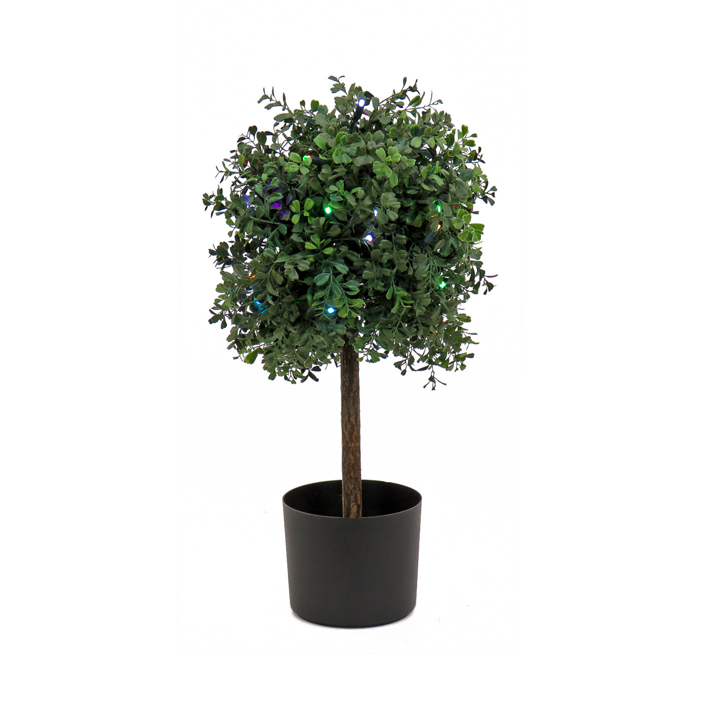 2 ft. Boxwood Single Ball Topiary with Multi-Function LED Lights - National Tree Company