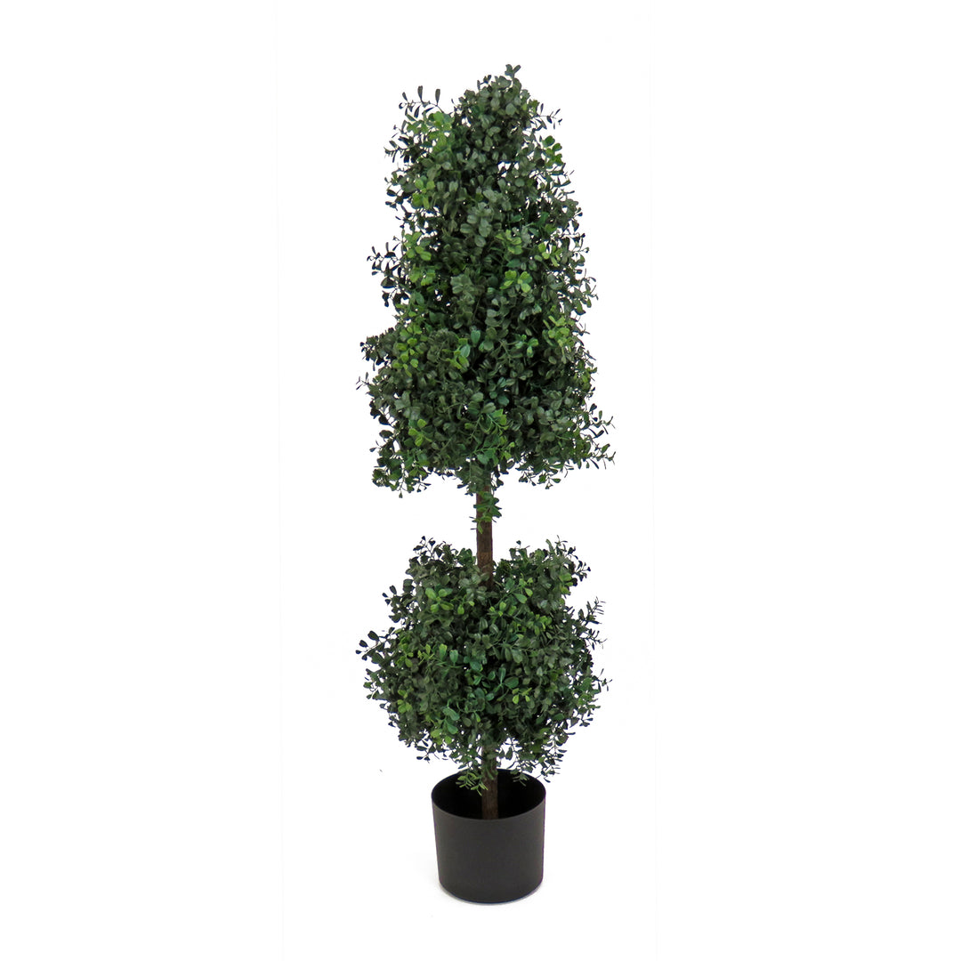 4 ft. Boxwood Cone and Ball Topiary in Nursery Pot