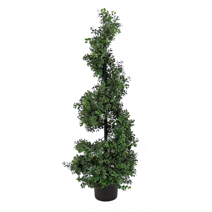 4 ft. Boxwood Spiral Topiary in Nursery Pot